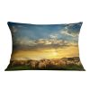 Flock of sheep grazing in a hill at sunset Cushion
