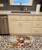 Chocolate Poodle The Chef Memory Foam Kitchen Mat Machine Washable Anti-Fatigue Mat Cushion Comfort Bath Mat or Kitchen Rug